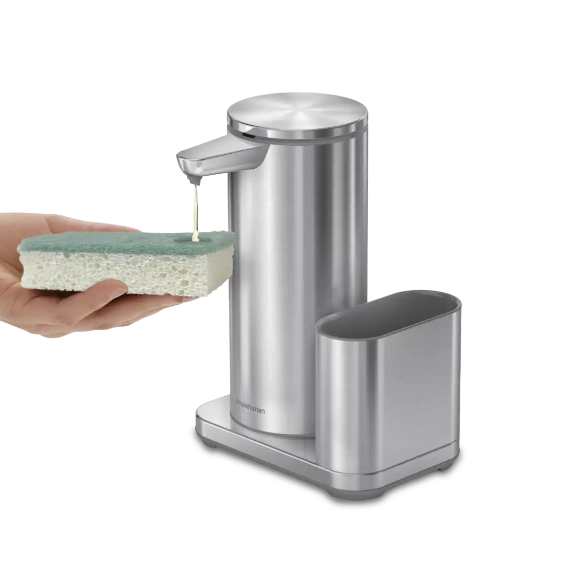 Soapwell Sponge